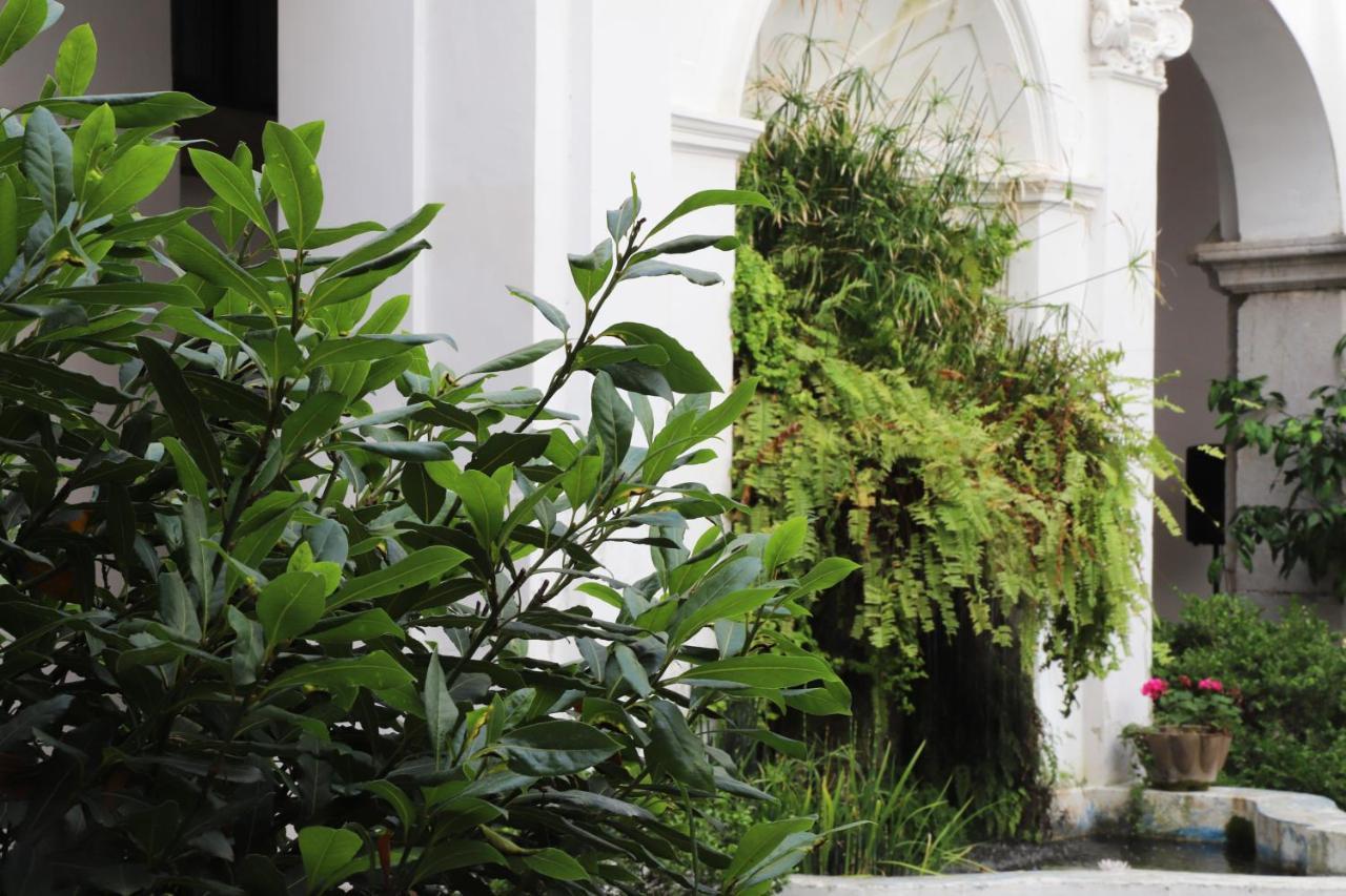 Ave Gratia Plena Hostel Salerno Ngoại thất bức ảnh