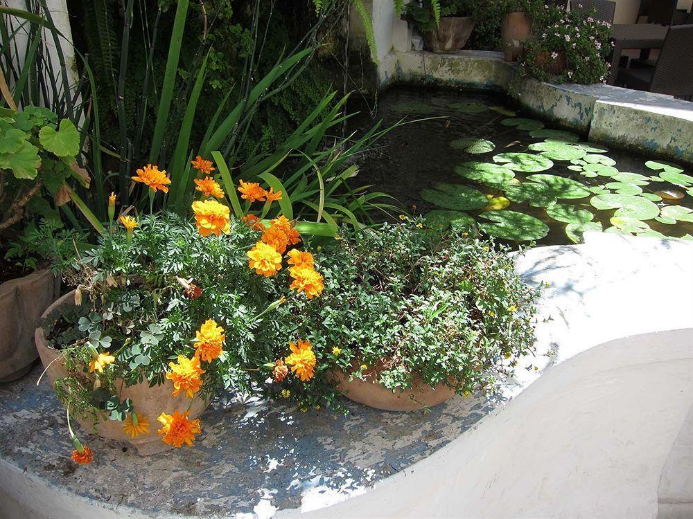 Ave Gratia Plena Hostel Salerno Ngoại thất bức ảnh